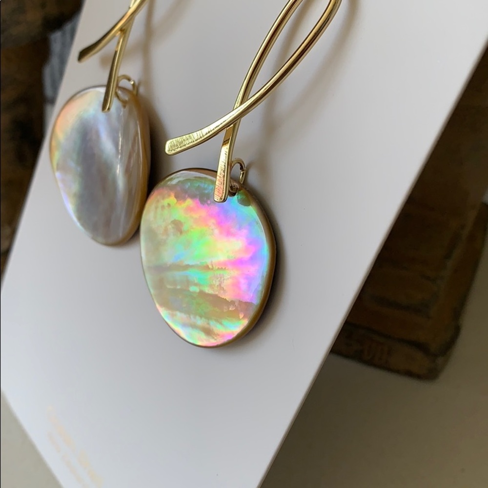 New Zealand Sea Shell Earrings - Picture 4 of 4